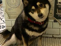 -大水的店(昙华林店)