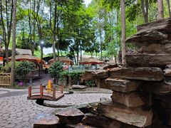 -二荆条·蜀鲜汇城市森林火锅