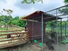 -洪湖家庭农场·团建·露营·会议