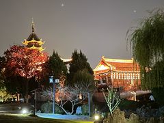 -苏州吴宫泛太平洋酒店