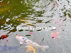 -成飞公园
