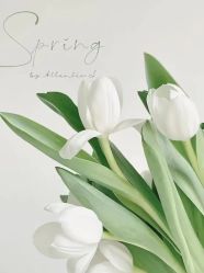 -南闸医院月子中心