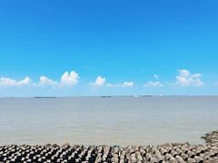 -上海滨江森林公园