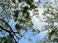 -重庆中央公园(渝北区)