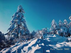 -瓦屋山景区