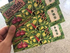 -上海大自然野生昆虫馆(东方明珠·爬宠昆虫探索中心)