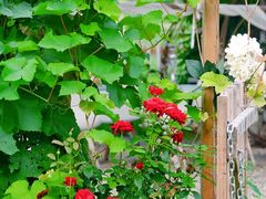 -安德鲁户外烧烤帐篷营地(马泉营店)