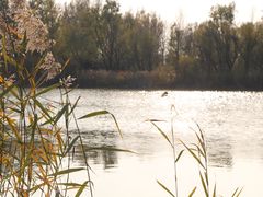 -野鸭湖国家湿地公园