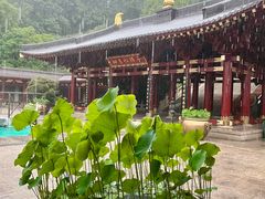-庐山风景名胜区-东林大佛