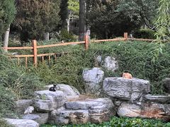 -燕郊植物园