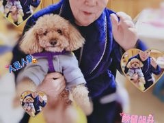 -熊猫不走蛋糕（同城送）(长沙店)