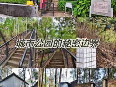 -番禺大夫山森林公园