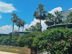 -深圳大梅沙京基洲际度假酒店