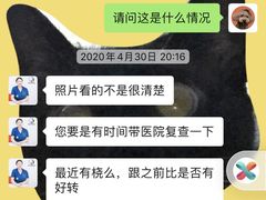 -伟伟宠物医院·CT影像中心·瑞派犬猫综合性门诊(汉口总院)