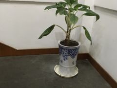 -品茗轩茶楼(江川路店)