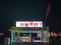 -欢乐海岸椰林沙滩-2025湾区超级灯会