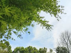 -武汉园博园(武汉自然博物馆)