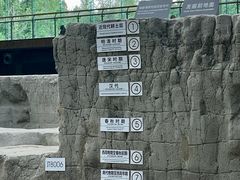 -金沙遗址博物馆