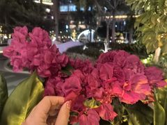 -Mezomd曼索蒂西班牙餐厅(广粤店)