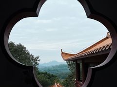 -深圳仙湖植物园