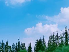 -前小桔亲子创意农场·草莓采摘·露营烧烤