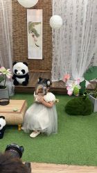 -水晶BABY儿童摄影(世界公园店)