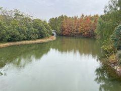 -上海海湾国家森林公园