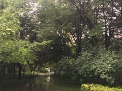 -木塔寺遗址生态公园