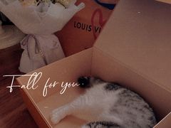 -LV路易威登(国际广场店)