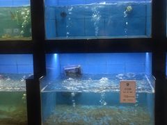 水产区-石浦大酒店(百丈店)