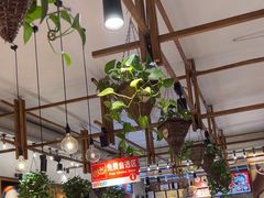 -鑫日千里马朝鲜族小馆(总店)