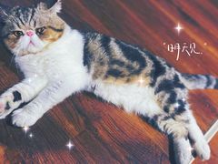 -参差咖啡(水果湖公园店)