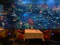 -迪拜帆船酒店海底餐厅