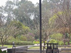 -南宁荔园维景国际酒店·荔园中餐厅