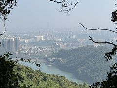 -东莞市大岭山森林公园