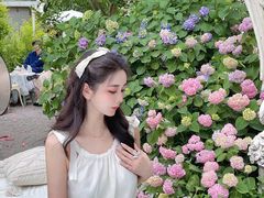 -三圣花乡旅游区