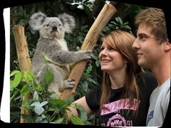 -费瑟代尔野生动物园