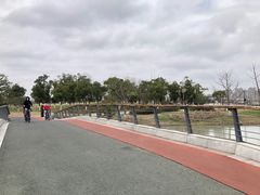 -海宁鹃湖公园