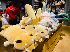 -九木杂物社(东方宝泰店)