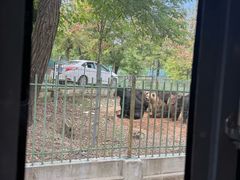 -秦皇岛野生动物园
