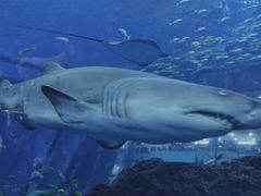 -成都浩海立方海洋公园