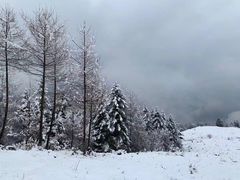 -瓦屋山景区