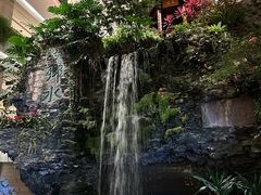 -广州白天鹅宾馆