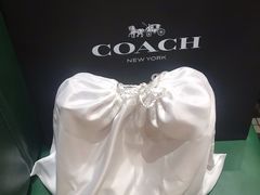 -COACH蔻驰(德基广场店)