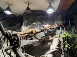 -Zoolung Zoolung动物主题公园(海信广场店)