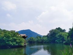 -西湖外事游船(花港观鱼码头)