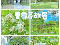 -国家植物园