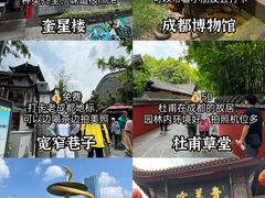 -成都大熊猫繁育研究基地