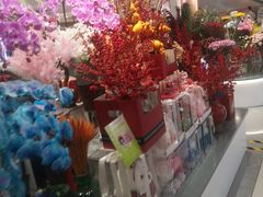-巴黎春天(浦建店)
