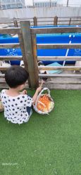 -小蜜蜂农场(凯德七宝购物广场店)